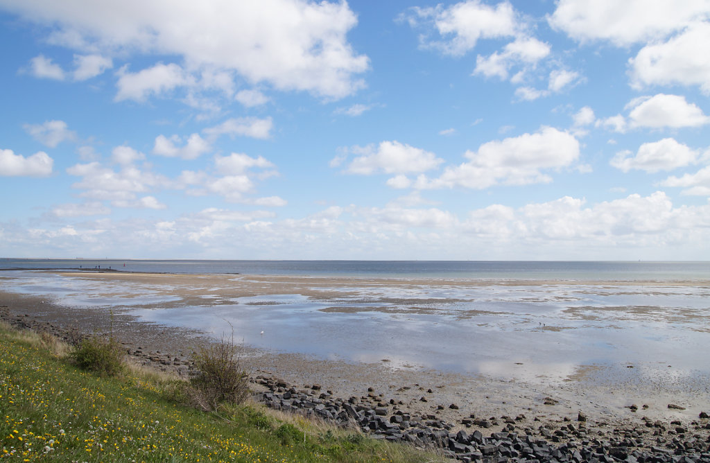 't Wad