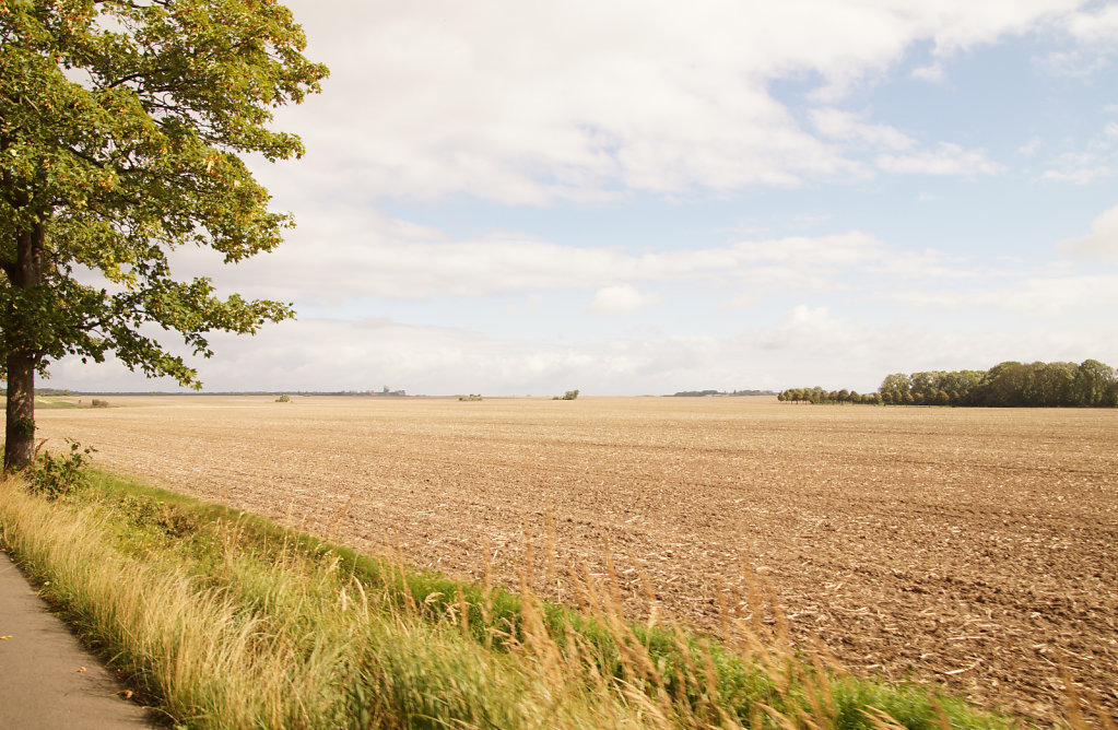 Maaiveld