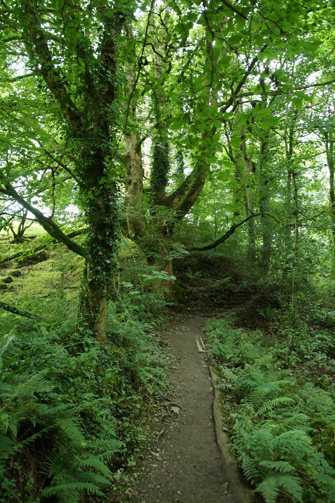 Lydford Gorge