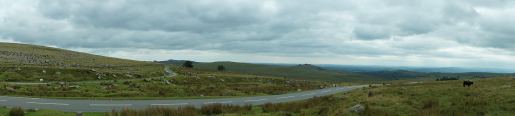 Dartmoor NP