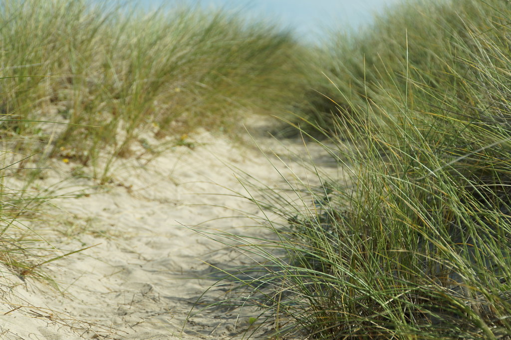 South West Coast Path Hayle 